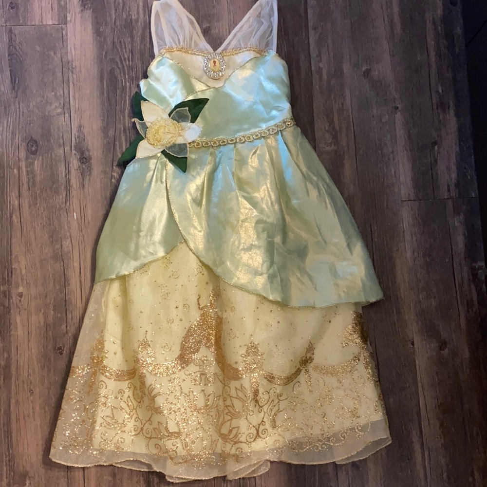 Vintage Princess And The Frog Costume